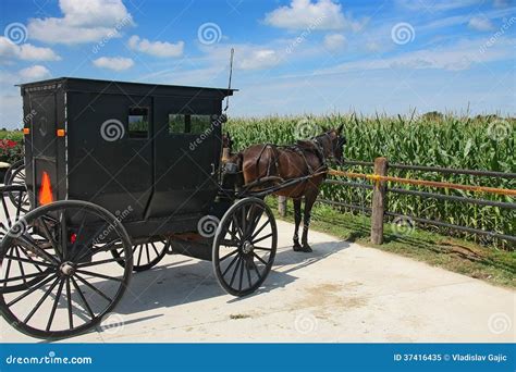 Amish Carriage Stock Image Image Of Oldfashioned Pennsylvania 37416435