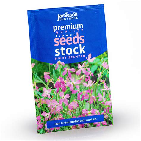 Night Scented Stock Flower Seeds Approx 260 Seeds By Jamieson Brothers