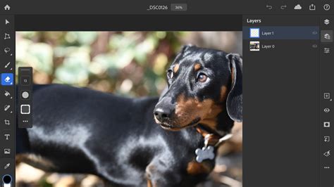 Adobe Photoshop Available For Ipad Ahead Of Launch Techradar