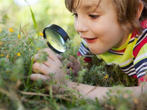Activities For Strengthening Observation Skills