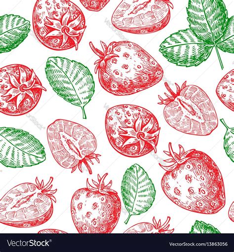 Pattern Drawing Summer Fruit Line Drawing Seamless Patterns Adobe