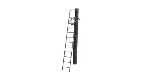 Amacker Adjustable Ladder Tree Stand Am82031 Free Shipping Over 49