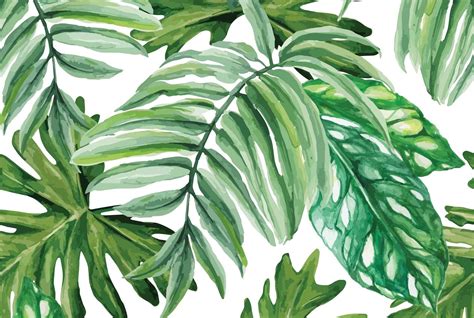 Watercolor Palm Leaves Wallpapers Top Free Watercolor Palm Leaves