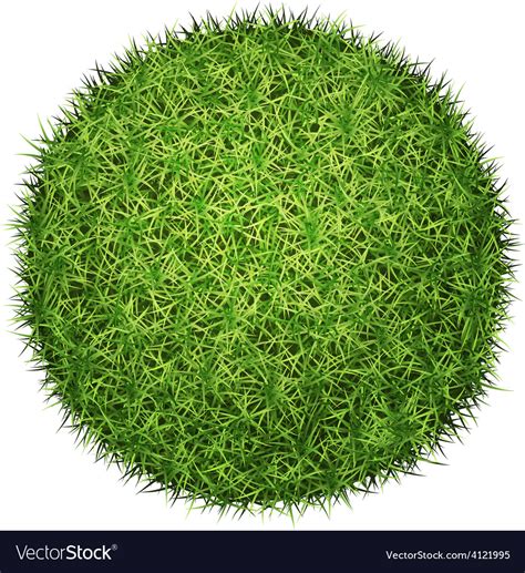 Green Grass Ball Royalty Free Vector Image Vectorstock