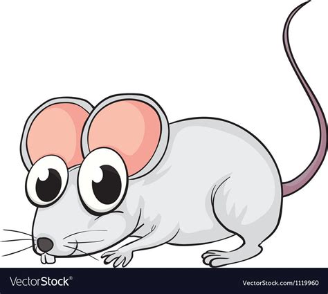 A Mouse On A White Background Download A Free Preview Or High Quality