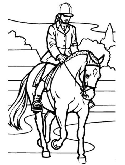 Paarden afbeeldingen tekeningen ly56 belbin in paardenhoofd. Mooi Kleurplaten Voor Volwassenen Paarden