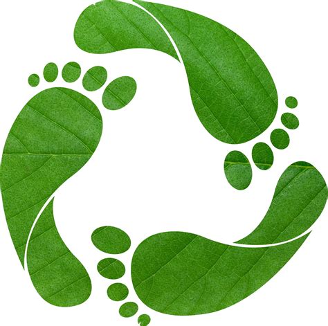 Footprint clipart green footprint, Footprint green footprint ...