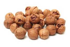 How To Crack Hickory Nuts Plus Good Uses For Them My Backyard Life