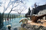 Prague Zoo - the fifth best zoo in the world | Tours in Prague ...