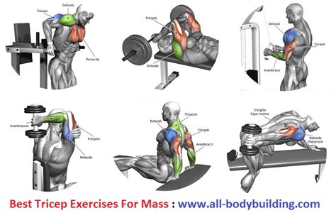 Best Tricep Exercises For Mass Bodydulding