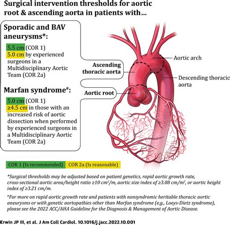 2022 Aortic Disease Guideline At A Glance Journal Of The American