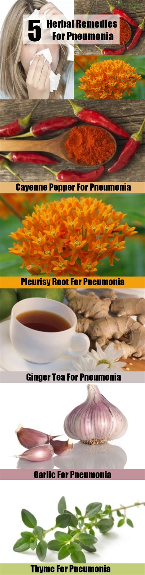 Pneumonia Herbal Remedies Treatments And Cures