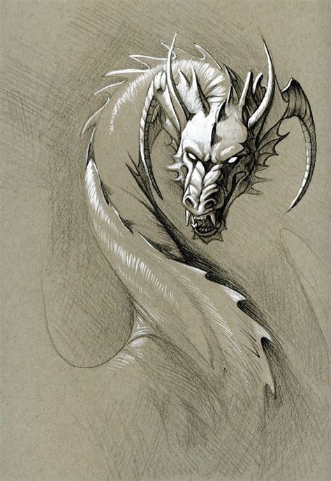 Pin By Ana Gura On ཻུ۪۪ Dragons Dragon Sketch Dragon Drawing Dragon Art