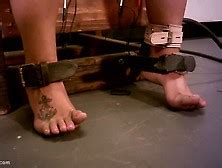 Electric Chair Tube Search 95 Videos
