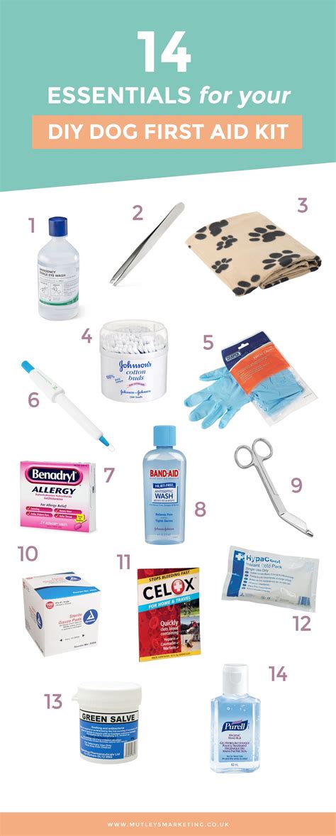 14 Essentials For Your Diy Dog First Aid Kit Diy Dog Stuff First Aid