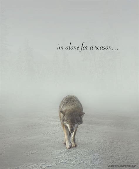 Im Alone For A Reason Lone Wolf Quotes Wolf Quotes Warrior Quotes
