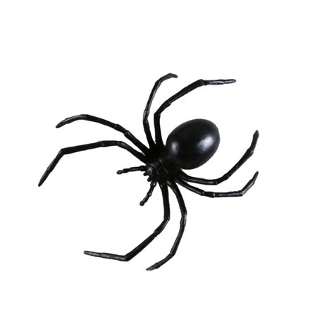 Black Widow Spider 6inch