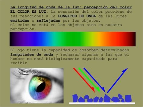 Percepcion Visual