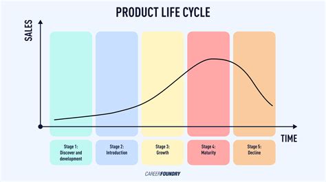 What Is The Product Development Life Cycle A 2023 Guide
