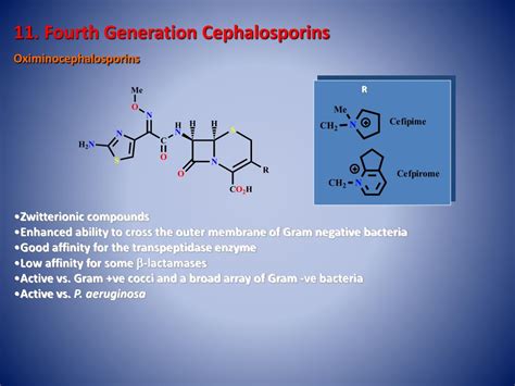 Ppt Cephalosporins Powerpoint Presentation Free Download Id5658436