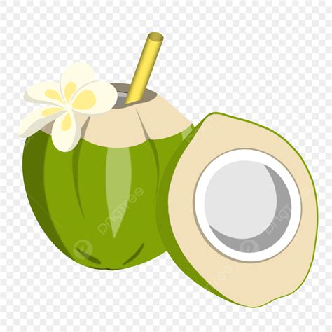 Young Coconut Png Transparent Young Coconut Ice Young Coconut