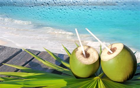 Coconut Wallpapers Top Free Coconut Backgrounds Wallpaperaccess