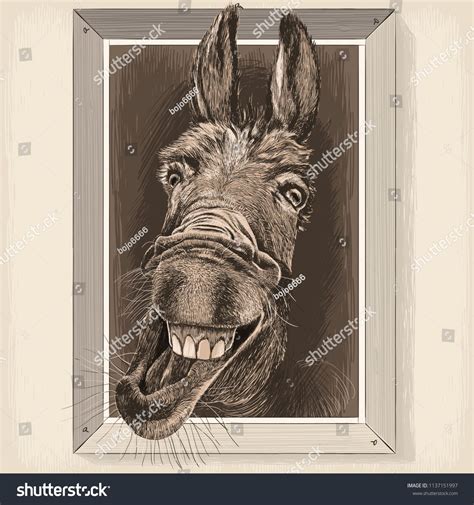 Vector Drawing Portrait Cartoon Of Crazy Donkey In A Wooden Frame