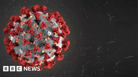 Coronavirus Everything You Need To Know BBC News