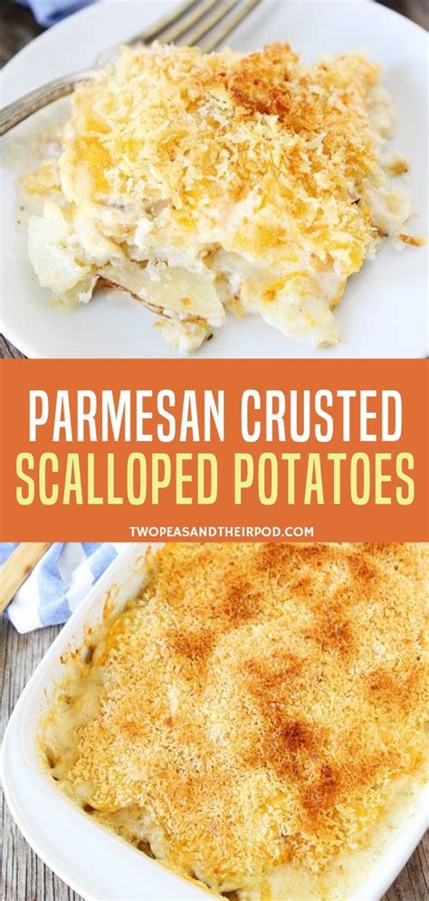 These easy crock pot scalloped potatoes are a cinch to prepare and cook in the slow cooker with a simple white sauce and shredded cheese. Cheesy and creamy layered potatoes with a crispy parmesan ...