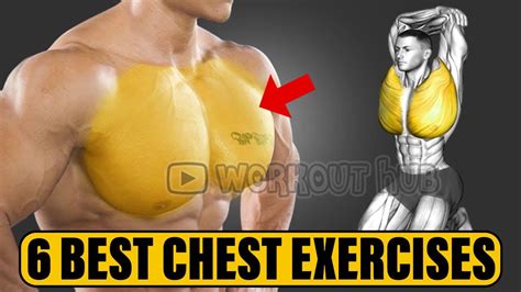 6 best chest exercises for massive chest youtube