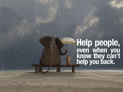 25 Quotes About Helping Others And Getting Nothing In