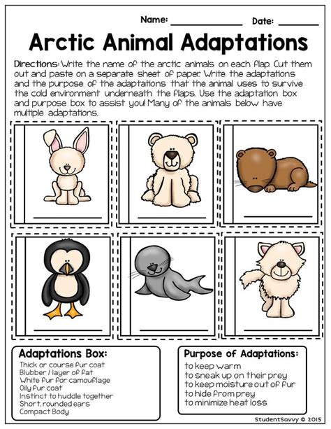 Free Printable Animal Adaptations Worksheets Thekidsworksheet