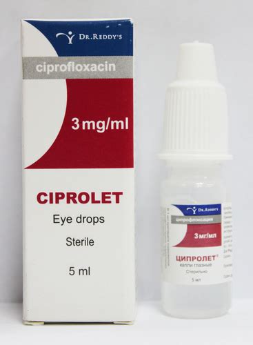 Ciprofloxacin Eye Drops Age Group Adult At Best Price In Surat Saintroy Lifescience
