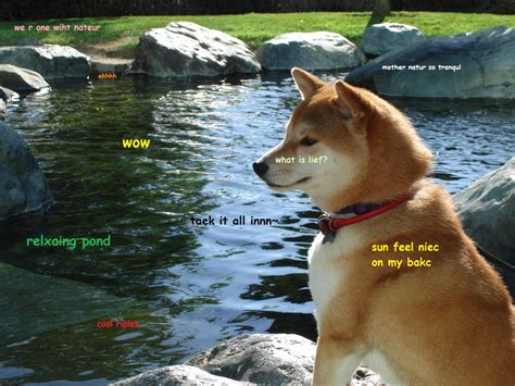 Image 582642 Doge Know Your Meme