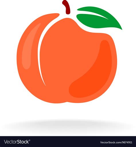 Cartoon Style Color Isolated Peach Fruit Vector Image