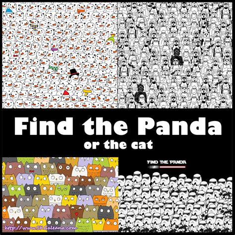 Find The Panda The Cat Or Maybe C 3po Skgaleana