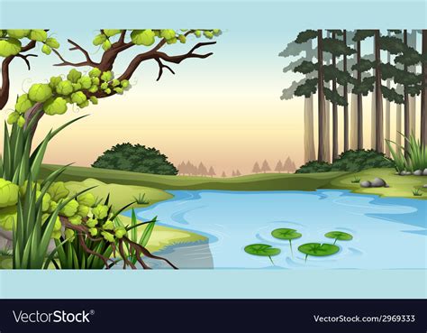 A Pond At Jungle Royalty Free Vector Image Vectorstock