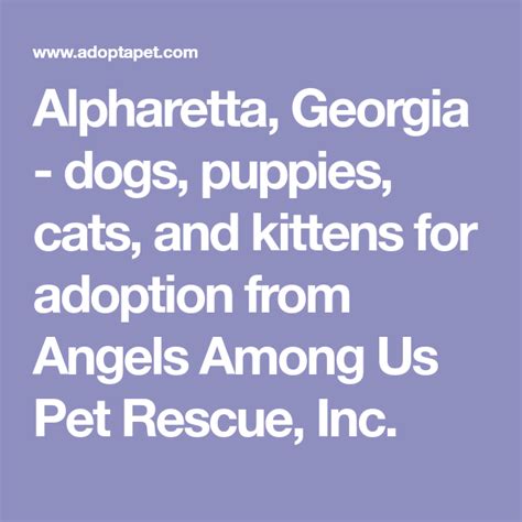 We provide outstanding veterinary care, adoption, and rescue services. Alpharetta, Georgia - dogs, puppies, cats, and kittens for ...