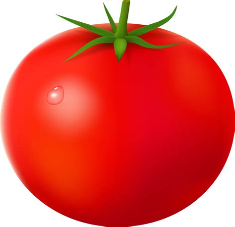 Red Tomato Png Transparent Image Download Size 2576x2491px
