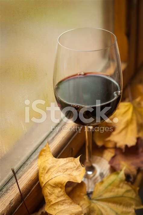 Autumn Red Wine Stock Photos