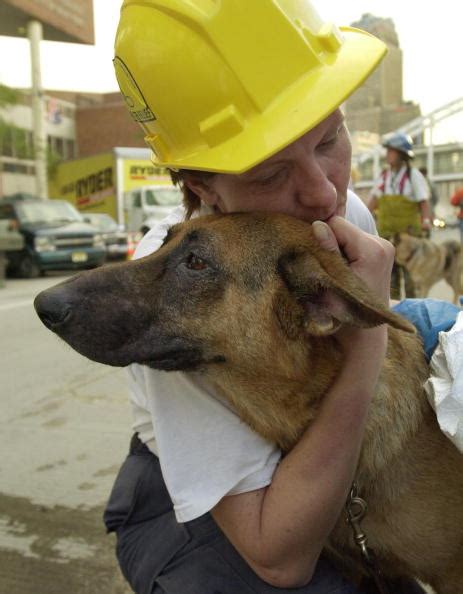 Photos Last Surviving 911 Rescue Dog Visits Ground Zero 13 Years