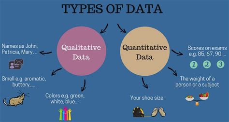 Qualitative Vs Quantitative Data Analysis Definitions Examples Analysis Data Thematic