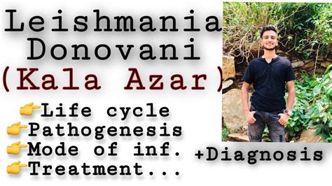 Leishmania Donovani Life Cycle Diagnosis Treatment Etc Leishmania Leishmaniasis
