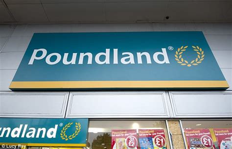 Profits And Sales Nosedive At Poundland As South Africas Steinhoff Ups