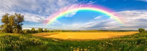 Rainbow Sky Clouds And Grass On Meadow Stock Photo Image Of Rays