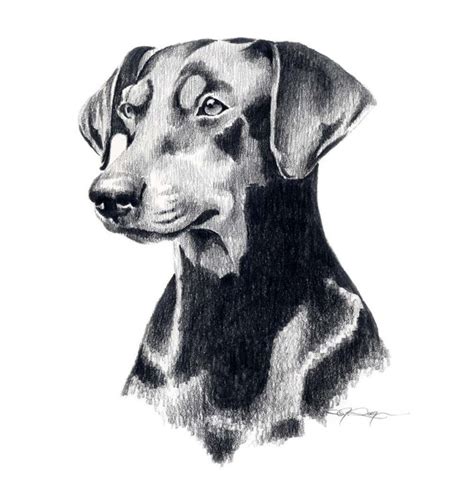 Doberman Pinscher Dog Art Print By Artist Dj Rogers Etsy