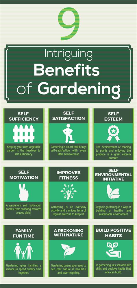 9 Intriguing Benefits Of Gardening Infographic Filter Free Parents