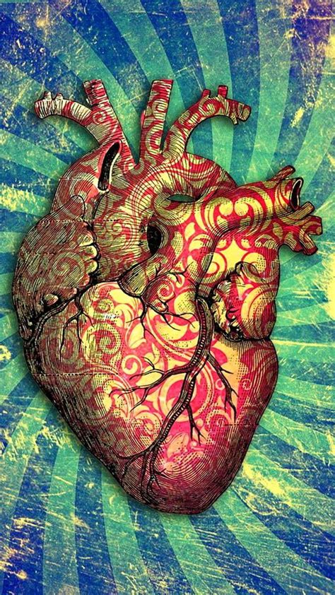 Rplatinumias Anatomical Heart Art Heart Art Human Heart Art