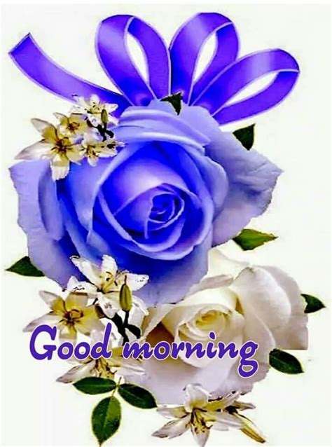 Pin By Davinder Singh On Morning Good Morning Images Flowers Good