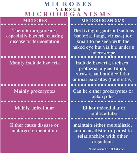 What Is The Difference Between Microbes And Microorganisms Pediaacom